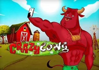 Crazy Cows