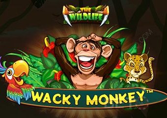 Wacky Monkey
